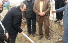 عملیات اجرایی طرح ایجاد معادن سبز در استان مرکزی آغاز شد