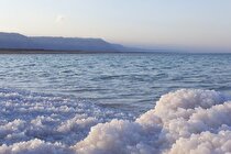 نمک دریا برای انسان‌ها خطرناک است