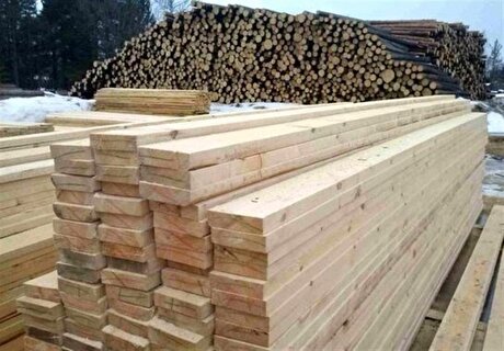 بیش اظهاری ۲ برابری در واردات چوب برای دریافت ارز نیمایی