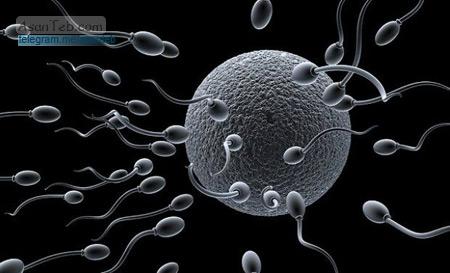 آلومینیوم و کاهش میزان اسپرم مردان